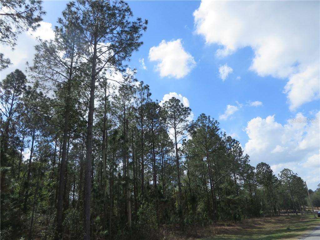 Clay Hill Rd., Dade City, FL 33523
