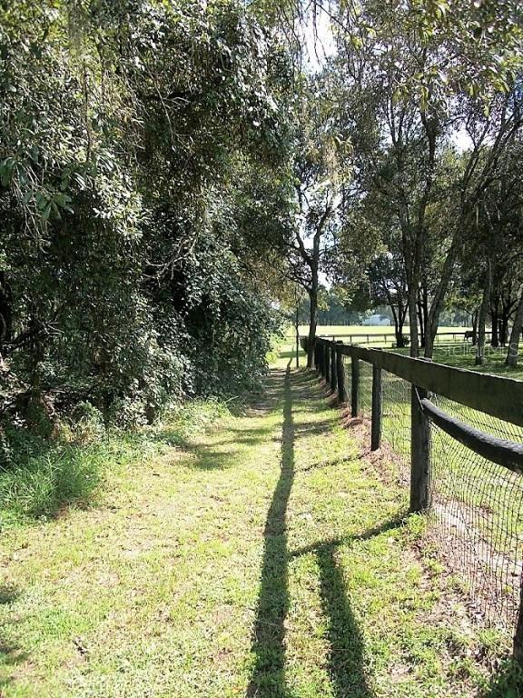 Trilby Trail, Dade City, FL 33523