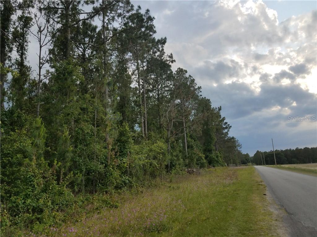 Clay Hill Rd., Dade City, FL 33523