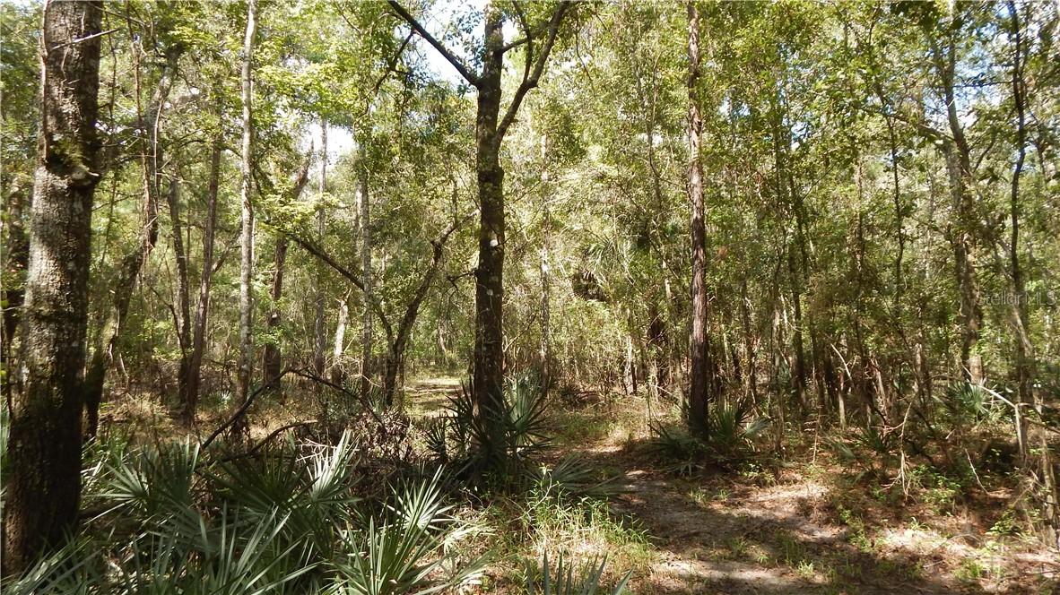 Culbreath Rd., Brooksville, FL 34601