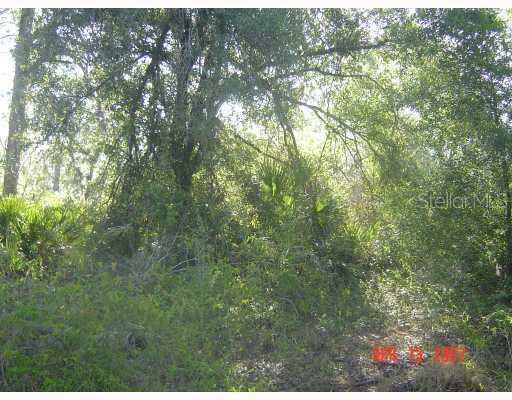 [Address Hidden by Seller], Arcadia, FL 34266