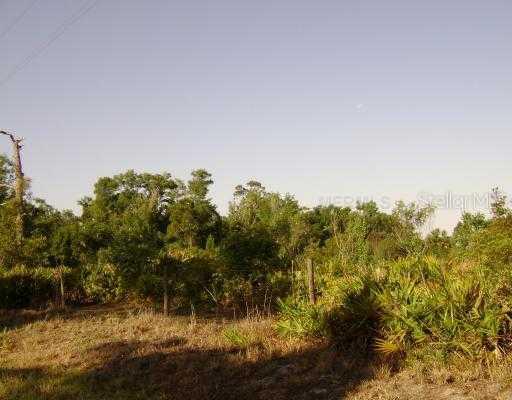 SW Gator Trail, Arcadia, FL 34266