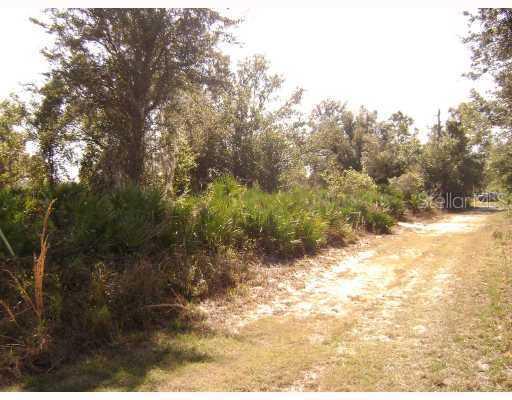 [Address Hidden by Seller], Arcadia, FL 34266