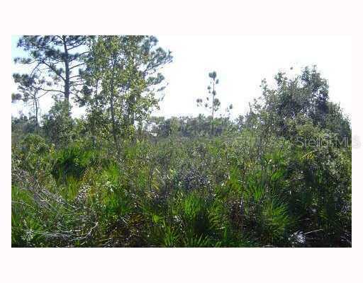 N Seventeen Ave., Arcadia, FL 34266