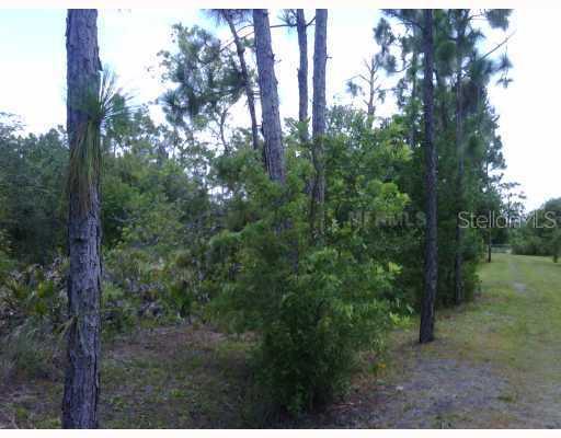 [Address Hidden by Seller], Arcadia, FL 34266