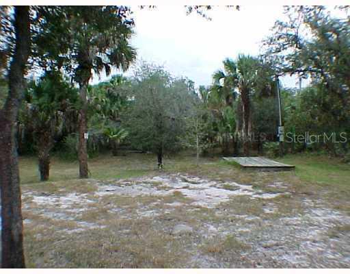 3172 SW Armadillo Tr., Arcadia, FL 34266