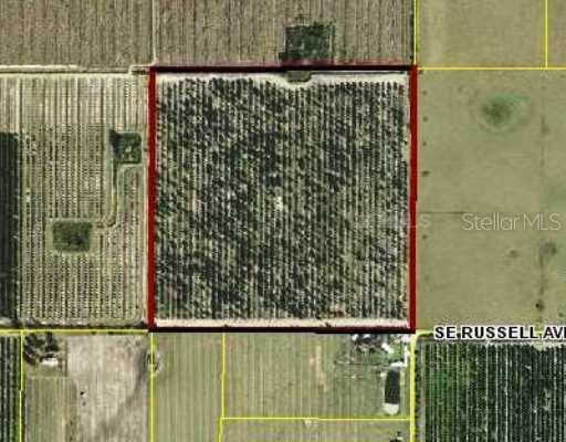 Russell, Arcadia, FL 34266