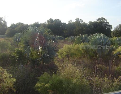 SE Wolf Ave., Arcadia, FL 34266