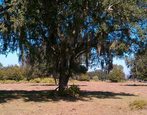 3356 NW Coker Street, Arcadia, FL 34266