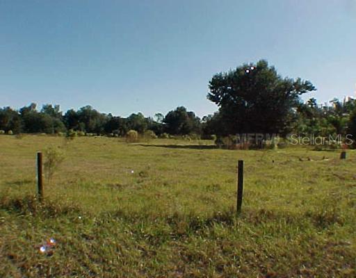 2162 NW Pine Bluff Ave., Arcadia, FL 34266