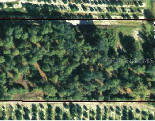 8471 SW Bay Ave., Fort Ogden, FL 34269