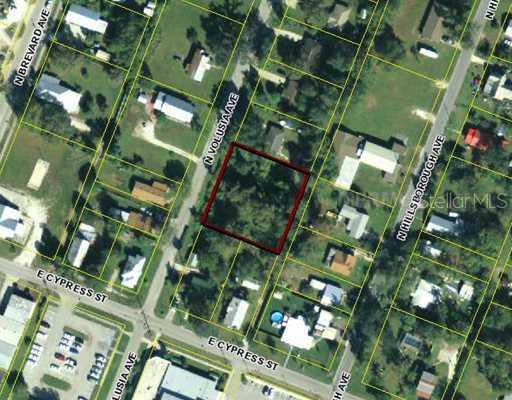 206 N Volusia Ave., Arcadia, FL 34266