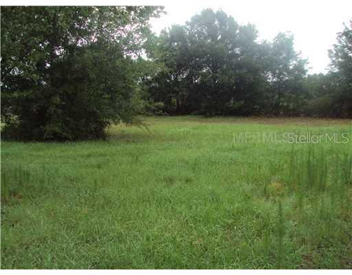 2402 Pine Creek Ave., Arcadia, FL 34266