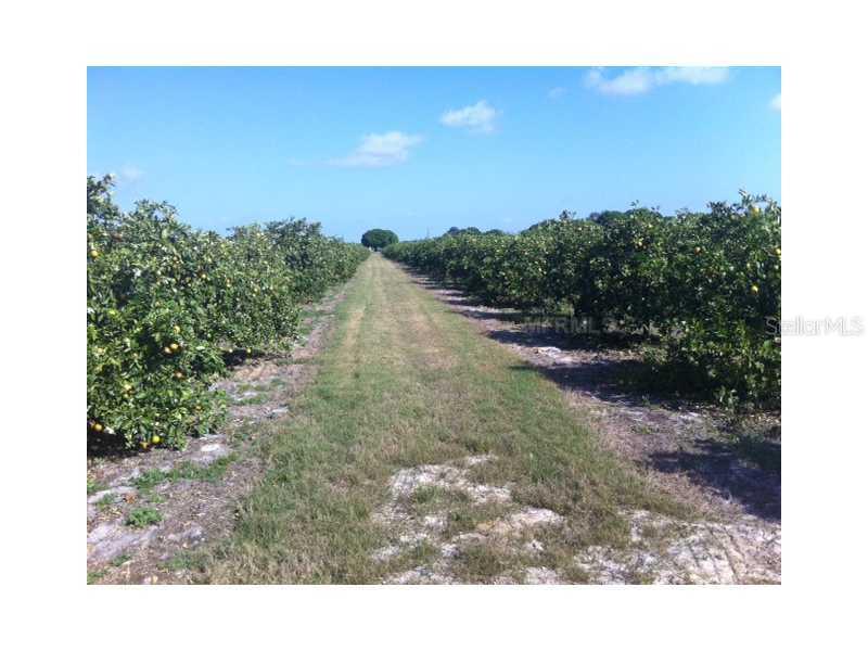 12769 SE Co Rd Rd. #763, Arcadia, FL 34266