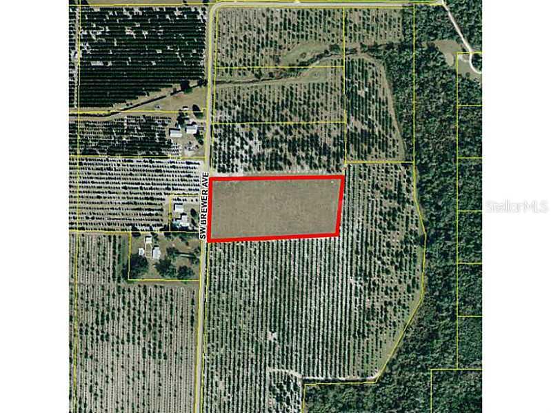 2566 SW Brewer Ave., Arcadia, FL 34266