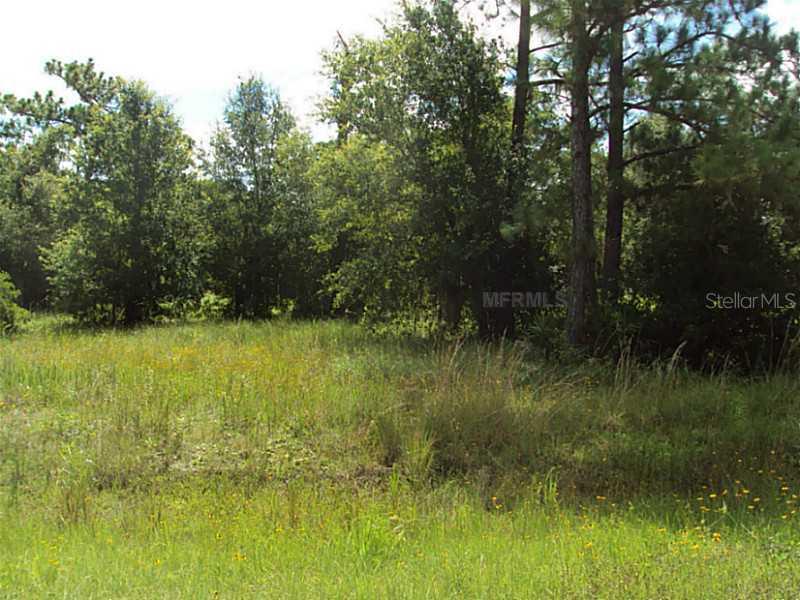 SW Ali Ter., Arcadia, FL 34266