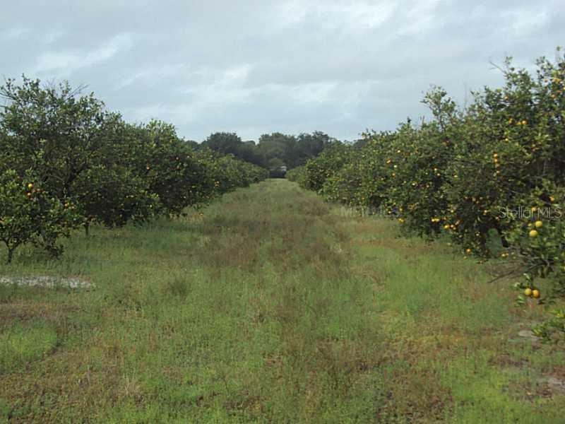 3303 SW Hillsborough Ave., Arcadia, FL 34266