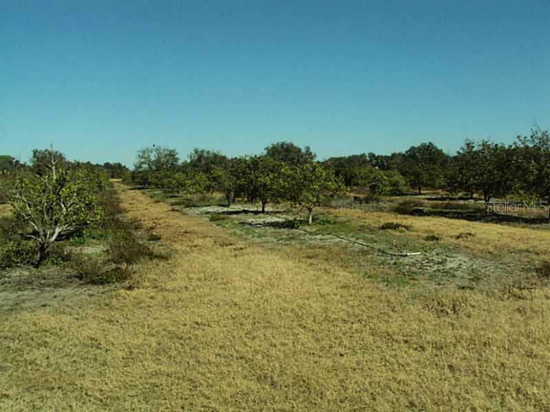 NW Florida Ave, Arcadia, FL 34266