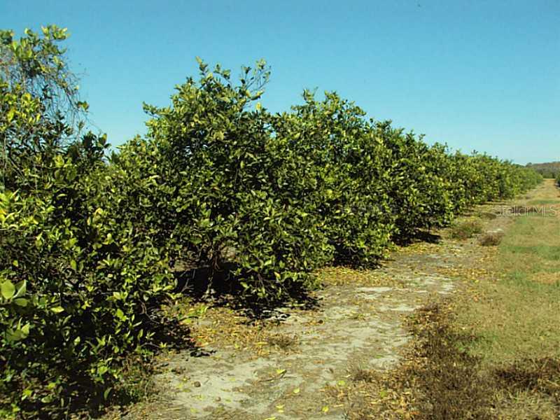 1886 NW Barrow Ave., Arcadia, FL 34266