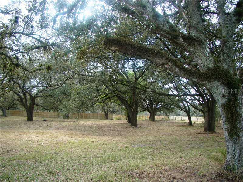 2597 SE Rice St., Arcadia, FL 34266