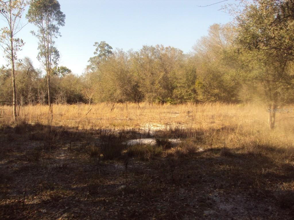 6269 NW Oak Hill Ave., Arcadia, FL 34266