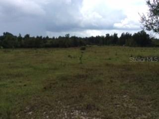 7663 SW River St., Arcadia, FL 34269