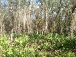 SW Blossom Ave., Arcadia, FL 34266