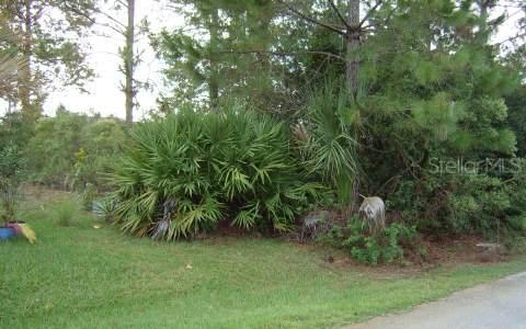3 White Deer Ln., Palm Coast, FL 32164