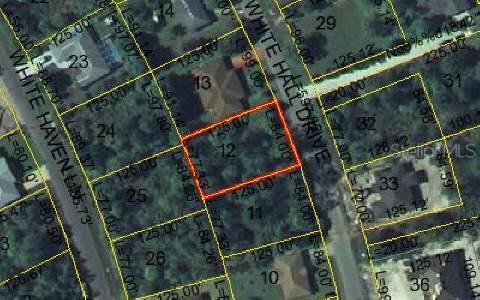 36 White Hall Dr., Palm Coast, FL 32164