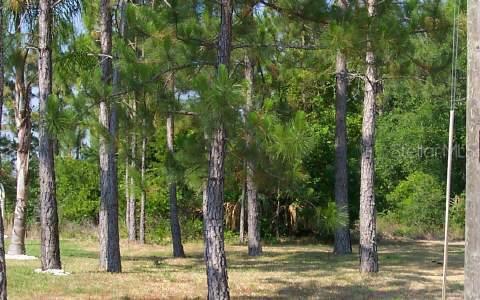 11 Woodfalon Pl., Palm Coast, FL 32164