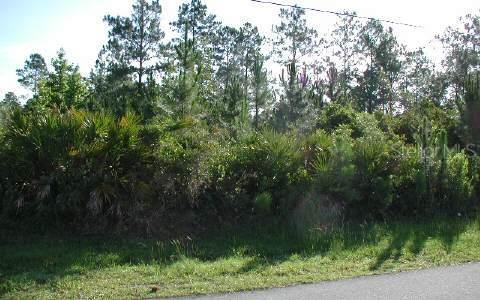 33 Rosecroft Ln., Palm Coast, FL 32164