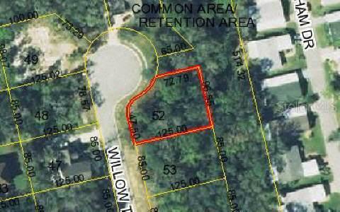 Willow Trace, Flagler Beach, FL 32136