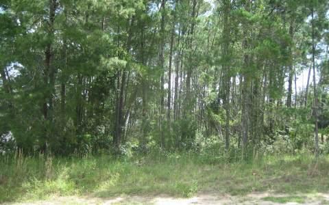 164 Frontier Dr., Palm Coast, FL 32137