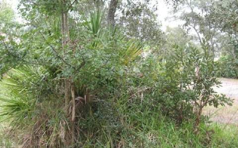 23 Butterfield Dr., Palm Coast, FL 32164