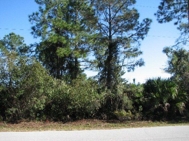 16 Prince Kaarel Ln., Palm Coast, FL 32164