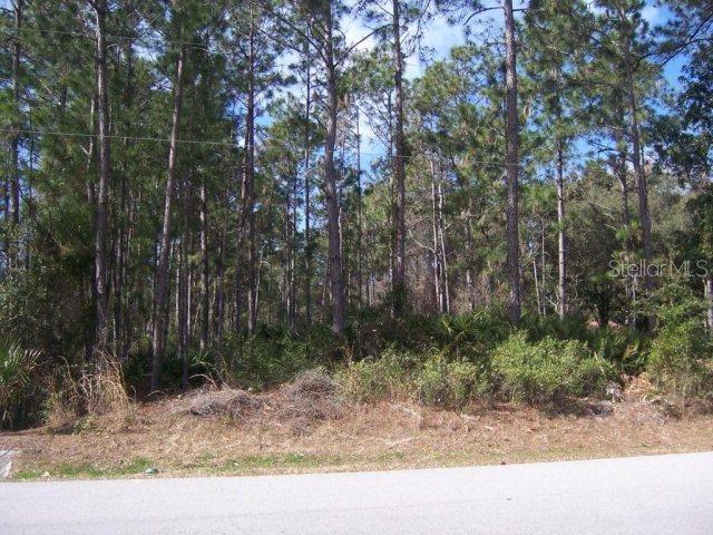 10 Evans Dr., Palm Coast, FL 32164