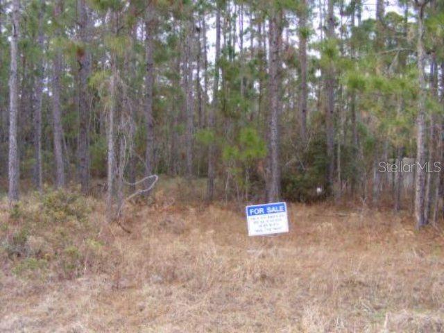 39 Kashmir Tr., Palm Coast, FL 32164