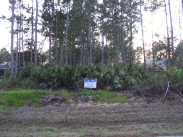26 Richelieu Ln., Palm Coast, FL 32164
