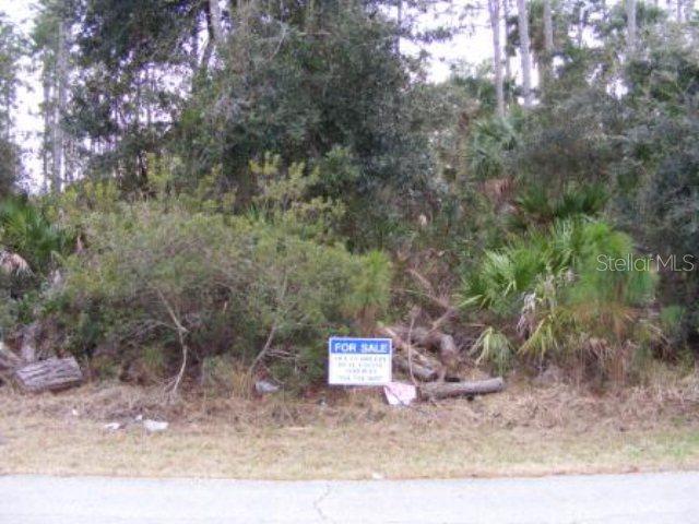 16 Richmond Dr., Palm Coast, FL 32164