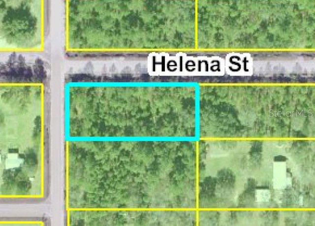 4635 Helena St., Hastings, FL 32145