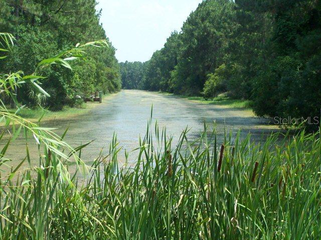 Q Walt Pl., Palm Coast, FL 32164