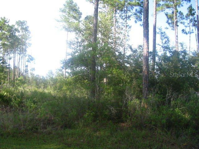 19 Riddle Dr., Palm Coast, FL 32164