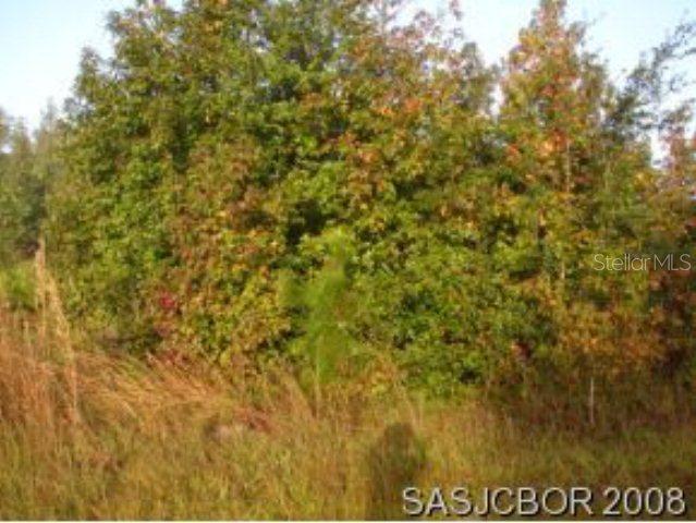 17 Londonderry Dr., Palm Coast, FL 32137