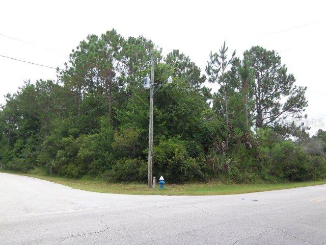 2 Wills Pl., Palm Coast, FL 32164
