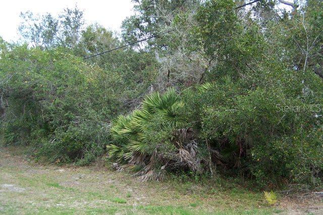 853 Chezy St., Lehigh Acres, FL 33974