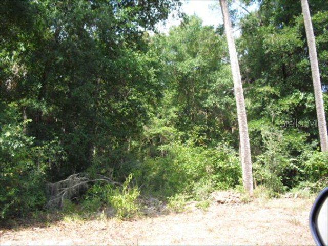 65 Bridle Ridge Ct., Flagler Beach, FL 32136