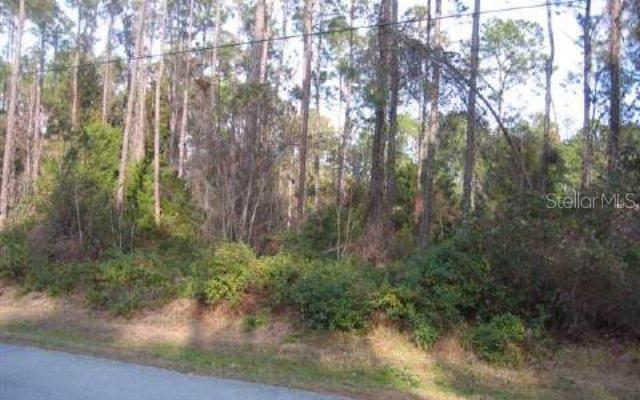 18 Edith Ln., Palm Coast, FL 32164