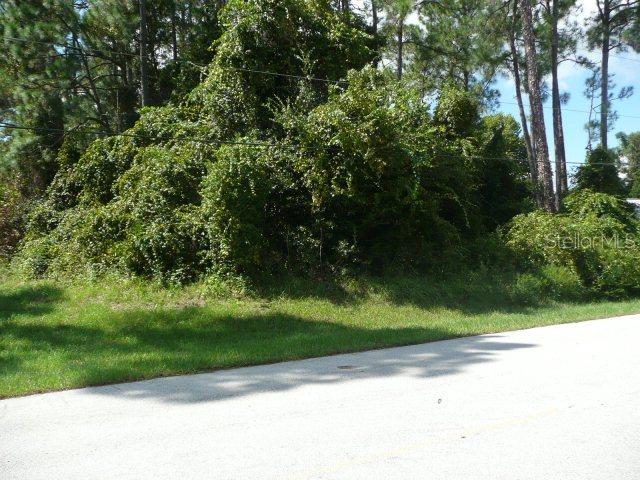 69 Wood Haven Dr., Palm Coast, FL 32164