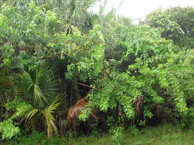 2508 Lakeshore Dr., Flagler Beach, FL 32136
