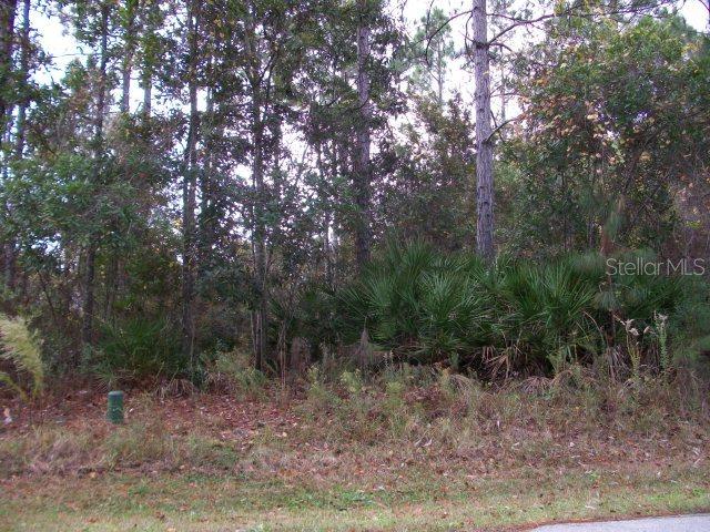15 Renshaw Dr., Palm Coast, FL 32164
